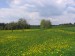 IMG_0884.JPG